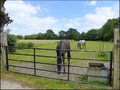 belle demeure a vendre savenay, maison piscine a vendre 44, maison SPA a vendre, maison caractere a vendre savenay, gite,   piscine, spa , hectare, chevaux, propriete equestre, savenay, nantes, la baule, loire atlantique, 44260, 44, real estate agency