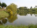 propriete maison belle demeure charme a vendre hectare etang terrain parcours golf 85 vendee les herbiers puy du fou cholet 49 vente longere french property for sale france loire atlantic west coast propriete a vendre vendee les herbiers 85 pays loire