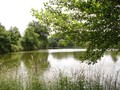 propriete maison belle demeure charme a vendre hectare etang terrain parcours golf 85 vendee les herbiers puy du fou cholet 49 vente longere french property for sale france loire atlantic west coast propriete a vendre vendee les herbiers 85 pays loire