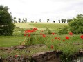 propriete maison belle demeure charme a vendre hectare etang terrain parcours golf 85 vendee les herbiers puy du fou cholet 49 vente longere french property for sale france loire atlantic west coast propriete a vendre vendee les herbiers 85 pays loire