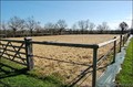 maison propriete equestre ecurie elevage chevaux haras a vendre centre equestre ferme vendee pays loire atlantique equestrian french property for sale france 85 44 hectare piscine farm longere manoir manor chateau castle west coast atlantic