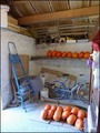 Maison renovee a vendre, hectare, prairie, bois, dependances, propriete a vendre, french property for sale, farm for sale, pays loire atlantique, 44, pays retz, pornic, arthon en retz, chemere, propriete equestre, nantes, chauve, maison caractere, vendee 