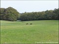 Vente Propriete a renover, corps de ferme a vendre, dependances, a renover, hectare, calme, farm to   renovate for sale, french property for sale, propriete equestre, loire atlantique, bretagne, vannes,   nantes, la baule, saint nazaire, rennes, redon, 44