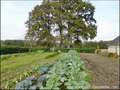 Vente Propriete a renover, corps de ferme a vendre, dependances, a renover, hectare, calme, farm to   renovate for sale, french property for sale, propriete equestre, loire atlantique, bretagne, vannes,   nantes, la baule, saint nazaire, rennes, redon, 44