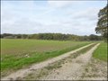 Vente Propriete a renover, corps de ferme a vendre, dependances, a renover, hectare, calme, farm to   renovate for sale, french property for sale, propriete equestre, loire atlantique, bretagne, vannes,   nantes, la baule, saint nazaire, rennes, redon, 44