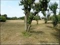 Farmhouse on 2.6 hectares, 230m² living space + 210 to convert, outbuildings 250m² shed, garden, orchard, pond, meadow ... Quiet no nuisance, hiking paths horse & pedestrian from the property. Apartment available disabilities. Great potential, rare!