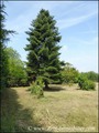 Farmhouse on 2.6 hectares, 230m² living space + 210 to convert, outbuildings 250m² shed, garden, orchard, pond, meadow ... Quiet no nuisance, hiking paths horse & pedestrian from the property. Apartment available disabilities. Great potential, rare!