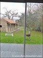 Propriete equestre a vendre, maison hectare a vendre, haras a vendre, elevage de chevaux a vendre, nantes, 44, loire atlantique, french property for sale, equestrian property for sale, poney club, centre equestre, a vendre, agence immobiliere, ocean atlan