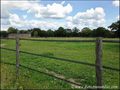 Propriete equestre a vendre, maison hectare a vendre, haras a vendre, elevage de chevaux a vendre, nantes, 44, loire atlantique, french property for sale, equestrian property for sale, poney club, centre equestre, a vendre, agence immobiliere, ocean atlan