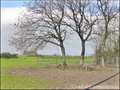 Propriete equestre a vendre, maison hectare a vendre, haras a vendre, elevage de chevaux a vendre, nantes, 44, loire atlantique, french property for sale, equestrian property for sale, poney club, centre equestre, a vendre, agence immobiliere, ocean atlan