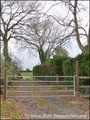 Propriete equestre a vendre, maison hectare a vendre, haras a vendre, elevage de chevaux a vendre, nantes, 44, loire atlantique, french property for sale, equestrian property for sale, poney club, centre equestre, a vendre, agence immobiliere, ocean atlan