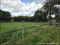 Propriete equestre a vendre, maison hectare a vendre, haras a vendre, elevage de chevaux a vendre, nantes, 44, loire atlantique, french property for sale, equestrian property for sale, poney club, centre equestre, a vendre, agence immobiliere, ocean atlan