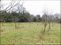 vente, achat, immobilier, propriete, domaine, hectare, demeure, manoir, dependance, propriete equestre, nantes, loire-atlantique, vendee, sud loire, 44, sauna, spa, jacuzzy, hammam, etang, immobilier, a vendre, maison, pays retz, Nantes, pornic, St Brevin