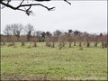 vente, achat, immobilier, propriete, domaine, hectare, demeure, manoir, dependance, propriete equestre, nantes, loire-atlantique, vendee, sud loire, 44, sauna, spa, jacuzzy, hammam, etang, immobilier, a vendre, maison, pays retz, Nantes, pornic, St Brevin