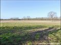 vente, achat, immobilier, propriete, domaine, hectare, maison, ferme, dependance, propriete equestre, gite, locatif, loire-atlantique, 44, nord loire, grange, pornichet, la baule, st nazaire, savenay, blain, gavre, nantes, a vendre, real estate, farm sale