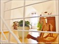 vente, achat, immobilier, propriete, domaine, hectare, maison, ferme, dependance, propriete equestre, gite, locatif, loire-atlantique, 44, nord loire, grange, pornichet, la baule, st nazaire, savenay, blain, gavre, nantes, a vendre, real estate, farm sale