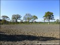 vente, achat, immobilier, propriete equestre, maison hectare, ferme, dependances, grange, ferme, a vendre, nantes, sud, loire atlantique, roche sur yon, vendee, 44, 85, boxe, ecurie, potentiel, farm for sale, property for sale, real estate agency