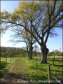 vente, achat, immobilier, propriete equestre, maison hectare, ferme, dependances, grange, ferme, a vendre,   nantes, sud, loire atlantique, roche sur yon, vendee, 44, 85, boxe, ecurie, potentiel, farm for sale, property   for sale, real estate agency