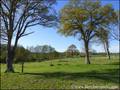vente, achat, immobilier, propriete equestre, maison hectare, ferme, dependances, grange, ferme, a vendre,   nantes, sud, loire atlantique, roche sur yon, vendee, 44, 85, boxe, ecurie, potentiel, farm for sale, property   for sale, real estate agency