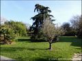 maison a vendre, demeure, piscine, maison bourgeoise, maison maitre, 6 chambres, dependances, potentiel, profession liberale, vente, achat, immobilier caractere, nantes, nord loire, coueron, sautron, indre, le pellerin, 44610, 44220, 44, loire
