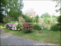 immobilier, vente, achat, maison a vendre, villa, maison bbc, jardin, etang, plage, st brevin les pins, st brevin ocean, 44250, maison architecte, maison contemporaine, house for sale, maison etang, french property for sale, loire atlantique, la baule