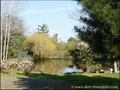immobilier, vente, achat, maison a vendre, villa, maison bbc, jardin, etang, plage, st brevin les pins, st brevin ocean, 44250, maison architecte, maison contemporaine, house for sale, maison etang, french property for sale, loire atlantique, la baule