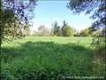maison a vendre, ensemble immobilier, maison gite a vendre, 2 maisons a vendre, propriete a vendre, plain pied, vendee, 85, Challans, belles demeures, maison piscine, maison hectare, plage, gite, french properties for sale vendee, real estate, loire 44