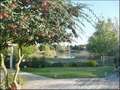 maison a vendre, plain pied, longere, real estate agency, propriete a vendre, french property for sale, 85160, vendee, st jean de monts, piscine, etang, notre dame de monts, noirmoutier, passage gois, fromentine, vente, achat, immobilier, maison campagne,