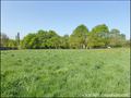 vente, achat, immobilier, propriete a vendre nantes, propriete equestre, maison, hectare, etang, dependance, calme, studio, gite, locatif, belle demeure, maison caractere, 44000, 44800, 44880, 44700, immobilier, house properties for sale nantes, france
