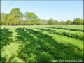 vente, achat, immobilier, propriete a vendre nantes, propriete equestre, maison, hectare, etang, dependance, calme, studio, gite, locatif, belle demeure, maison caractere, 44000, 44800, 44880, 44700, immobilier, house properties for sale nantes, france
