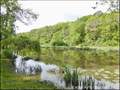maison, a vendre, propriete, vente, achat, immobilier, bois, calme, riviere, 44640, rouans, cheix en retz, 44680, sainte pazanne, 44320, arthon en retz, saint pere en retz, french house for sale, pays loire atlantique, 44, french property, gite, charme