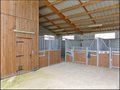 maison, propriete equestre, haras, a vendre, vente, immobilier, pays loire atlantique, 44, nantes, pornic, la baule, french properties for sale, equestrian property, carriere, hectare, ecurie, plage, mer, domaine equestre, equitation, propriete rurale
