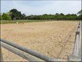 maison, propriete equestre, haras, a vendre, vente, immobilier, pays loire atlantique, 44, nantes, pornic, la baule, french properties for sale, equestrian property, carriere, hectare, ecurie, plage, mer, domaine equestre, equitation, propriete rurale