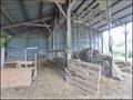 ferme a vendre, vendee, 85, maison, ensemble immobilier, propriete, propriete rurale, vente, achat, immobilier caractere, french properties for sale vendee france, gite, dependance, ferme, hangar, longere, hectare, piscine, challans, aizenay, campagne