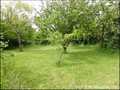 ferme a vendre, vendee, 85, maison, ensemble immobilier, propriete, propriete rurale, vente, achat, immobilier caractere, french properties for sale vendee france, gite, dependance, ferme, hangar, longere, hectare, piscine, challans, aizenay, campagne