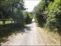 propriete equestre, haras, elevage, centre equestre, a vendre, vente, achat, immobilier, pays loire atlantique, 44, nantes, la baule, bretagne, morbihan, vannes, 56, french properties for sale, equestrian property, hectare, ecurie, plage, mer, rurales