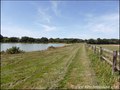 propriete equestre, haras, elevage, centre equestre, a vendre, vente, achat, immobilier, pays loire atlantique, 44, nantes, la baule, bretagne, morbihan, vannes, 56, french properties for sale, equestrian property, hectare, ecurie, plage, mer, rurales
