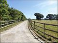 propriete equestre, haras, elevage, centre equestre, a vendre, vente, achat, immobilier, pays loire atlantique, 44, nantes, la baule, bretagne, morbihan, vannes, 56, french properties for sale, equestrian property, hectare, ecurie, plage, mer, rurales