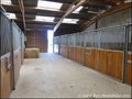 propriete equestre, haras, elevage, centre equestre, a vendre, vente, achat, immobilier, pays loire atlantique, 44, nantes, la baule, bretagne, morbihan, vannes, 56, french properties for sale, equestrian property, hectare, ecurie, plage, mer, rurales