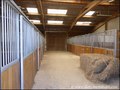 propriete equestre, haras, elevage, centre equestre, a vendre, vente, achat, immobilier, pays loire atlantique, 44, nantes, la baule, bretagne, morbihan, vannes, 56, french properties for sale, equestrian property, hectare, ecurie, plage, mer, rurales