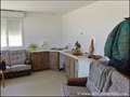 propriete equestre, haras, elevage, centre equestre, a vendre, vente, achat, immobilier, pays loire atlantique, 44, nantes, la baule, bretagne, morbihan, vannes, 56, french properties for sale, equestrian property, hectare, ecurie, plage, mer, rurales
