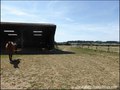propriete equestre, haras, elevage, centre equestre, a vendre, vente, achat, immobilier, pays loire atlantique, 44, nantes, la baule, bretagne, morbihan, vannes, 56, french properties for sale, equestrian property, hectare, ecurie, plage, mer, rurales