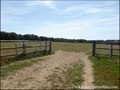 propriete equestre, haras, elevage, centre equestre, a vendre, vente, achat, immobilier, pays loire atlantique, 44, nantes, la baule, bretagne, morbihan, vannes, 56, french properties for sale, equestrian property, hectare, ecurie, plage, mer, rurales