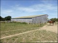propriete equestre, haras, elevage, centre equestre, a vendre, vente, achat, immobilier, pays loire atlantique, 44, nantes, la baule, bretagne, morbihan, vannes, 56, french properties for sale, equestrian property, hectare, ecurie, plage, mer, rurales