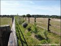 propriete equestre, haras, elevage, centre equestre, a vendre, vente, achat, immobilier, pays loire atlantique, 44, nantes, la baule, bretagne, morbihan, vannes, 56, french properties for sale, equestrian property, hectare, ecurie, plage, mer, rurales