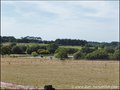 propriete equestre, haras, elevage, centre equestre, a vendre, vente, achat, immobilier, pays loire atlantique, 44, nantes, la baule, bretagne, morbihan, vannes, 56, french properties for sale, equestrian property, hectare, ecurie, plage, mer, rurales