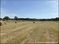 propriete equestre, haras, elevage, centre equestre, a vendre, vente, achat, immobilier, pays loire atlantique, 44, nantes, la baule, bretagne, morbihan, vannes, 56, french properties for sale, equestrian property, hectare, ecurie, plage, mer, rurales
