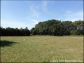propriete equestre, haras, elevage, centre equestre, a vendre, vente, achat, immobilier, pays loire atlantique, 44, nantes, la baule, bretagne, morbihan, vannes, 56, french properties for sale, equestrian property, hectare, ecurie, plage, mer, rurales
