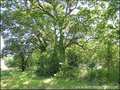 propriete equestre, haras, elevage, centre equestre, a vendre, vente, achat, immobilier, pays loire atlantique, 44, nantes, la baule, bretagne, morbihan, vannes, 56, french properties for sale, equestrian property, hectare, ecurie, plage, mer, rurales