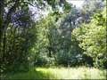 propriete equestre, haras, elevage, centre equestre, a vendre, vente, achat, immobilier, pays loire atlantique, 44, nantes, la baule, bretagne, morbihan, vannes, 56, french properties for sale, equestrian property, hectare, ecurie, plage, mer, rurales